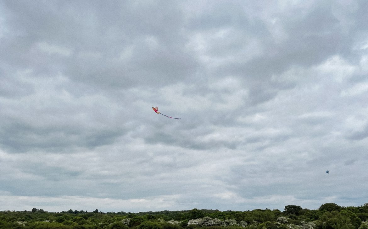 Epping forest kite flying