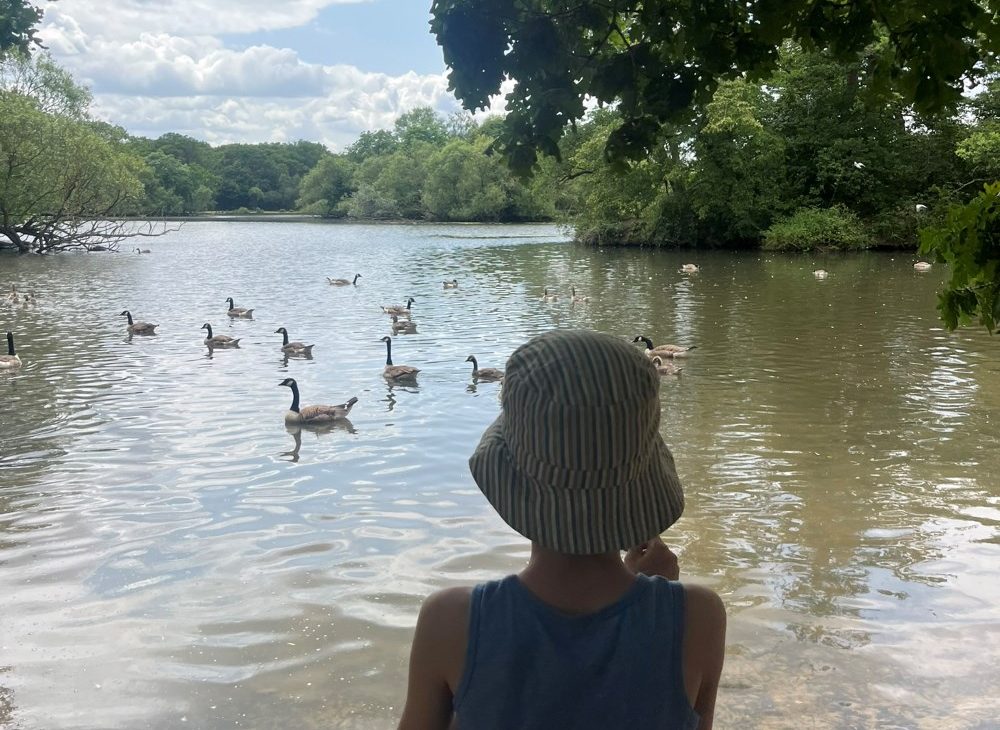 5 things we love about Epping Forest